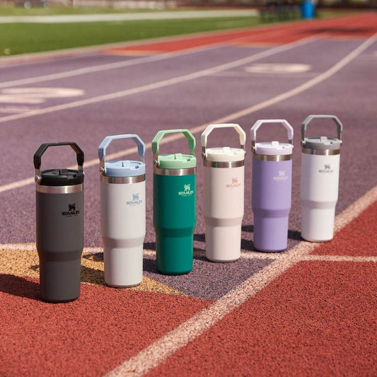 Stanley Iceflow™ Flip Straw Tumbler Leak Proof | 30 OZ (900 ml)